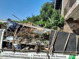 Best Mattress Disposal  in Coleman, MI